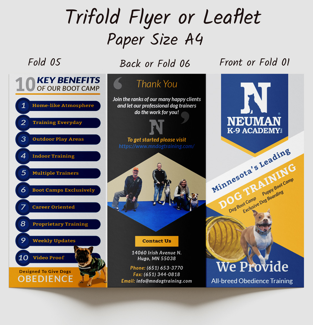 Pixemdots Trifold Brochure Outside Design for Dog Training Organization
